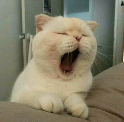 网络监控抹胸Joy无聊咯五莫问今朝