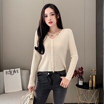 Knitwear womens spring autumn thin section 100 hitch set head V collar bottom T-shirt early fall small sub ice silk short long sleeve blouse