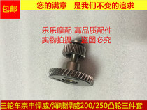 Futian Longxin Li Zongshen Tsunami Tsunami 250 Cam Shaft lower rocker arm to defend Vanguard 200250300 Camshafts