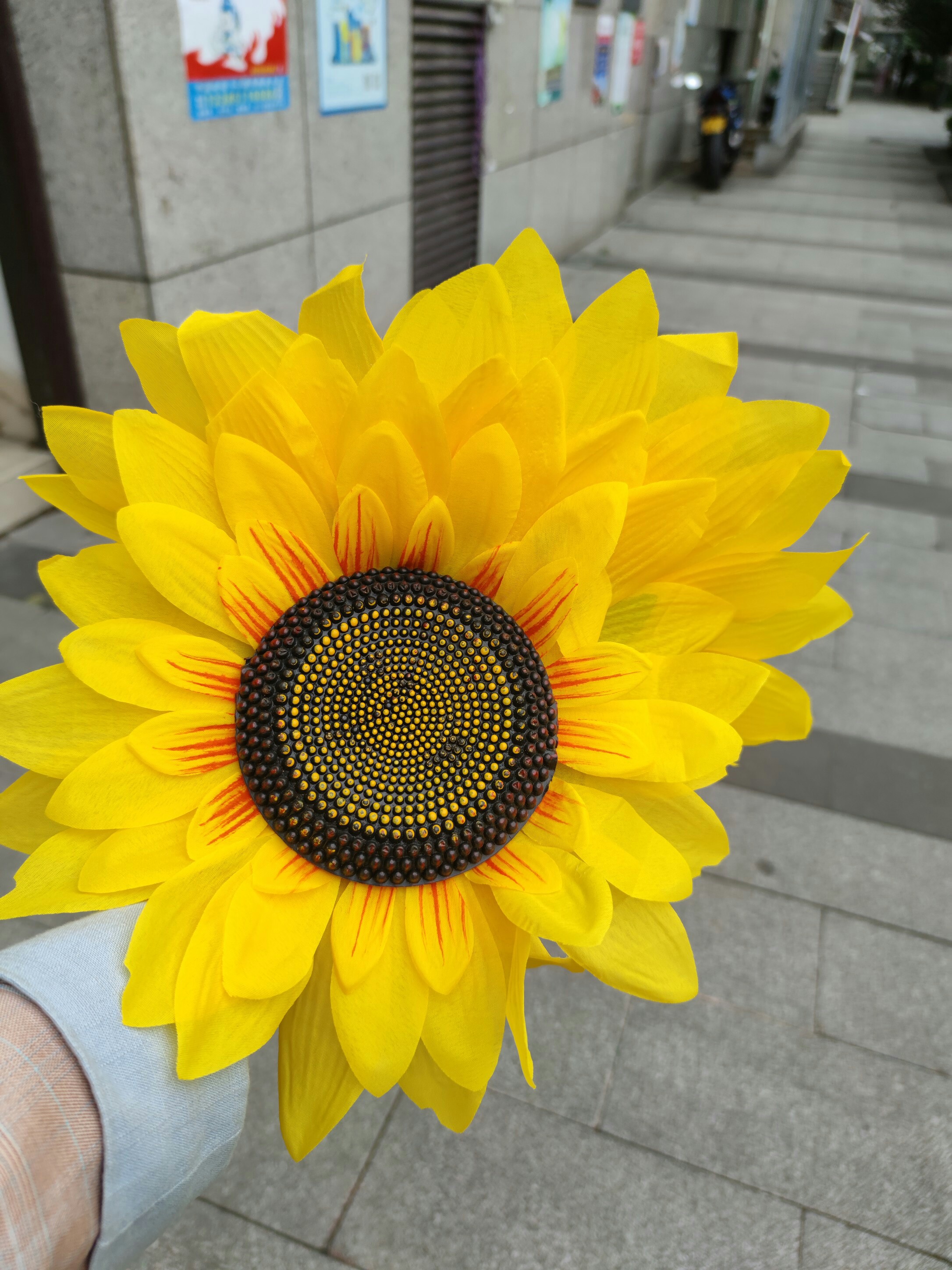 秋季运动会入场创意道具向日葵太阳花花球啦啦队幼儿红歌表演园用