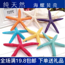 Starfish Conch Shell Five-Finger Color Starfish Ornaments Mediterranean Wedding Props Platform Decoration Promotion
