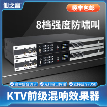 Fairy Sound KTV Digital Front Effect with Wireless Microphone Bluetooth Home K Song Feedback Anti-howling Reverberator