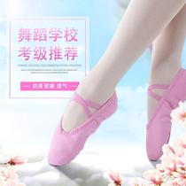 Female teacher White dance shoes women winter children Paris breathable Latin dance children good-looking Yangko training soft