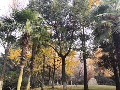 是厚罩杯的,我还以为是薄的,不太喜欢厚罩杯的,无钢圈,不知道穿上怎么样,舒服就好,内裤居然是透的,价格还算便宜,也就这样了,本命年穿的,下面是废话了,对的,凑字数,对不知道这什么,唉,就是感觉有点厚那个罩杯,大小应该够了,洗掉了,还没穿 是厚罩杯的,我还以为是薄的,不太喜欢厚罩杯的,无钢圈,不知道穿上怎么样,舒服就好,内裤居然是透的,价格还算便宜,也就这样了,本命年穿的,下面是废话了,对的,凑字数,对不知道这什么,唉,就是感觉有点厚那个罩杯,大小应该够了,洗掉了,还没穿