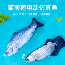 Cat toys self-Hi-relief artifact electric cat stick cat cat bite kitten molars supplies simulation fish will move
