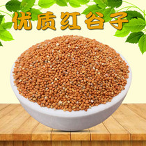High-quality parrot food hongu zi peony xuan feng tiger grain niao liang the poo and EE seed bird feed 5 pounds provinces