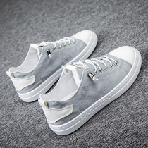 Old Beijing Cloth Shoes Mens Summer Breathable Thin Pieces Ice Silk Pilot Casual Canvas Board Shoes Sloth People Drive Little White Shoes