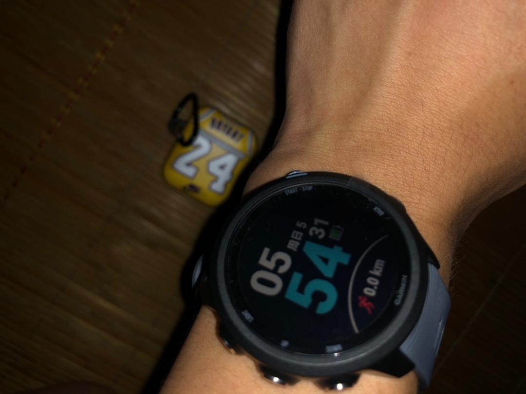 Garmin佳明 Forerunner 245M评分很高？