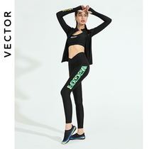 VECTOR Dive suit swimsuit long sleeve trousers suit sunscreen dry repair body skinny snorkeling surf suit jellyfish