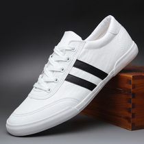 Tide brand 2021 summer casual shoes mens Korean edition plate shoes leather white shoes mens soft-soled driving thin-soled shoes tide