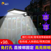 Solar lamp outdoor garden lamp lighting human body induction lamp strap railing Road garden balcony home non-punching