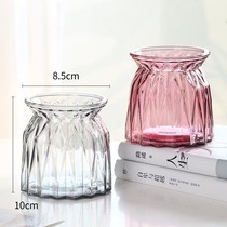 Aquacle plant transparent glass vase container Green Luo flower pot nut pot nourishment cylinder water pendantware living room simulation