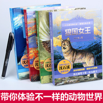 A full set of 4 volumes of Shen Shixi animal novels perceptions of Life Books Red jackal snow-covered leopard shadows colorful dragons and birds wolves Queen childrens literature primary and secondary school students extracurricular reading best-selling books teachers recommend two three four and fifth grade animal Enlightenment