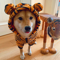 Golden Firewood Clothes in Autumn Dogs in Labradorsamoye Medium Large Large Large Large Dog Winter Warm Clothes