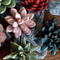 JK Mu space Nordic Chinese paper town Booktown multi-meat shape ceramic decoration decoration desk sink decoration