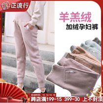 Pregnant women pants wear leggings autumn and winter thickened cotton pants Northeast Chao mother late lamb velvet warm pants