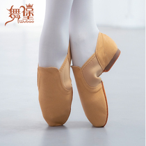 Dance Fort Play With Ballerina Ballet Shoes Canvas Dance Shoes Women Soft-bottom Practice Shoes Teachers Adults Indoor Jazz Bodies