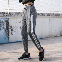 Sports Yoga Long Pants Spring Summer Fashion Loose Sports Pants Women Dance Running Speed Dry Fitness Pants Han Edition Kharen Pants