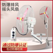 BTS FB-500 600 750 explosion-proof shaking head fan floor mounted industrial explosion-proof fan 220V380V