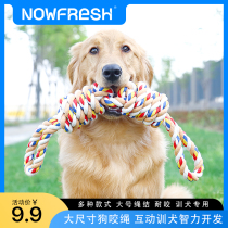 Pooch toy resistant to bite large canine wool Labrador dog bites rope dog bites big dog tug-of-war supplies