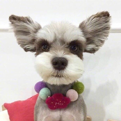 淘宝几年才知道原来评论85个字才会有积分。所以从今天到以后，这段话走到哪里就会复制到哪里。首先要保证质量啊，东西不赖啊。不然就用别的话来评论了。不知道这样子够不够85字。谢谢老板的认真检查。东西特别好，我不是刷评论的，我是觉得东西好我才买的，你会发现我每一家都是这么写的。因为复制一下就好了