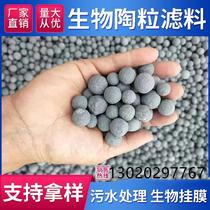 Spherical packing aeration biological filter Hanging membrane Ceramic biological filter material Water filtration Acid and alkali resistance Aquarium surface hard