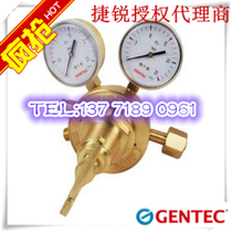 GENTEC Shanghai Jierui hydrogen pressure reducer 153H-15 153H-40 153H-125 153H-200