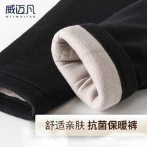 Baby fleece antibacterial warm pants womens winter cotton pants mens thickened 100% wool filled high waist bottoming long johns thin