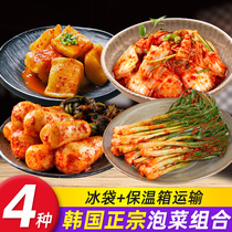 Korean sauerkraut Zhengzong Korean style spicy cabbage Next meal Northeastern small vegetable radish block Radish Strips of Scallion Kimono