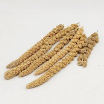 Natural yellow grain ears 100g golden silk bear hamster nutrition interactive snacks palatability good lying hand artifact