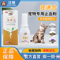 Darling Quick Kitty Special Hemostatic Powder Non External Trauma Mouth Healing Medicine Non-Septic Abscess