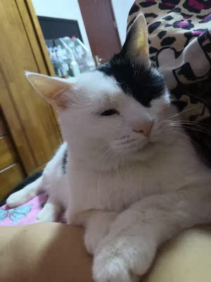 若你为了拥有美好情人和理想爱情,不断掩盖自己的不美好和不理想,那么最终你不但找不到自己,也会得不到感情。那些好与不好都应该在太阳下面透透气,有的会长大,有的会蒸发,别藏起来,那是它们自己的命运。 若你为了拥有美好情人和理想爱情,不断掩盖自己的不美好和不理想,那么最终你不但找不到自己,也会得不到感情。那些好与不好都应该在太阳下面透透气,有的会长大,有的会蒸发,别藏起来,那是它们自己的命运。 