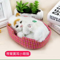 Factory sells Childrens Day gifts birthday return girls 10 years old 12 students children the whole class 9 girls