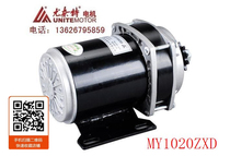 Unette permanent magnet DC brushed motor MY1020ZXD450W48V36V24V electric tricycle accessories