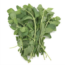 Mint leaves 100g Fresh edible spearmint Baking decoration materials Mojito sparkling wine flushing