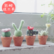 New introduction handmade wool felt DIY poke pottery basin succulent plant material package to send basic tools