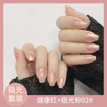 2020 small red book new nail art Net red same magic mirror powder Aurora powder mirror flour Aurora suit Nail Polish glue