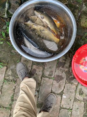 竿子轻,手感舒适,腰力十足, 竿子轻,手感舒适,腰力十足,