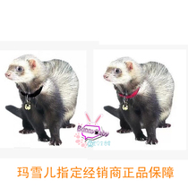 Marchel ring collar (red and black) FP-090 with small Bell ornaments