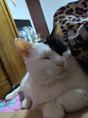 若你为了拥有美好情人和理想爱情，不断掩盖自己的不美好和不理想，那么最终你不但找不到自己，也会得不到感情。那些好与不好都应该在太阳下面透透气，有的会长大，有的会蒸发，别藏起来，那是它们自己的命运。 ​