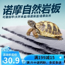Tortoise slate mat Natural rock food basin Food plate Rock plate Climbing pet tortoise box Reptile lizard Moisturizing insulation