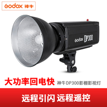 Shenniu DP300W photography light soft box studio flash fill light single lamp head shooting soft light
