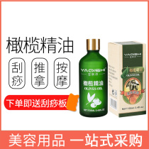 Olive massage basic oil makeup remover body massage hair care skin care massage oil open back scraping beauty salon
