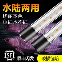 Sensen fish cylinder lamp lighting led waterproof diving lamp ornamental lamp color changing light aquarium dragon fish special lamp