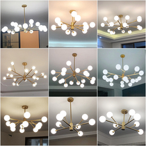 Nordic lamp living room lamp simple modern atmosphere light luxury restaurant molecular lamp Net red bedroom magic bean living room chandelier