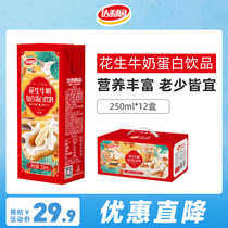 Daliyuan peanut milk 250ml * 12 boxed breakfast milk nutritional protein beverage walnut whole box original drink