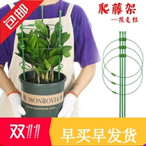 Little hairy grass garden lollipop stand spherical flower stand Flower stand traction blue snow lollipop climbing pergola