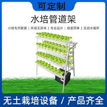 Cream lettuce household lettuce vegetable planting three-dimensional rack Hydroponic vegetable equipment Family balcony planting rack greenhouse