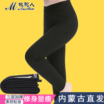 New Winter Outwear Wool Warm Pants Women Thicken Plus Suede Cotton Pants High Waist Display Slim Underpants Middle-aged Mom
