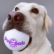 Hong Kong expensive for explosive ball GiGwi pet resistant to grinding teeth small large dog and young solid high elastic dog toy ball